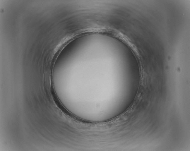 X0000072980011200608041254