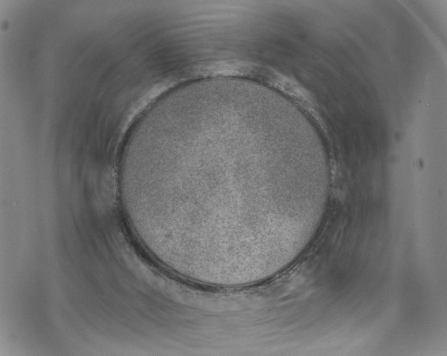 X0000072980012200608041254