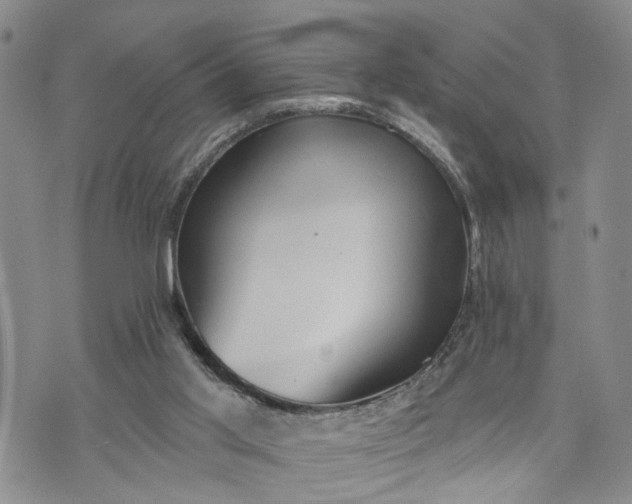 X0000072980013200608041254