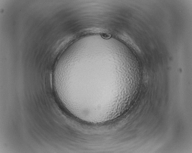 X0000072980014200608041254