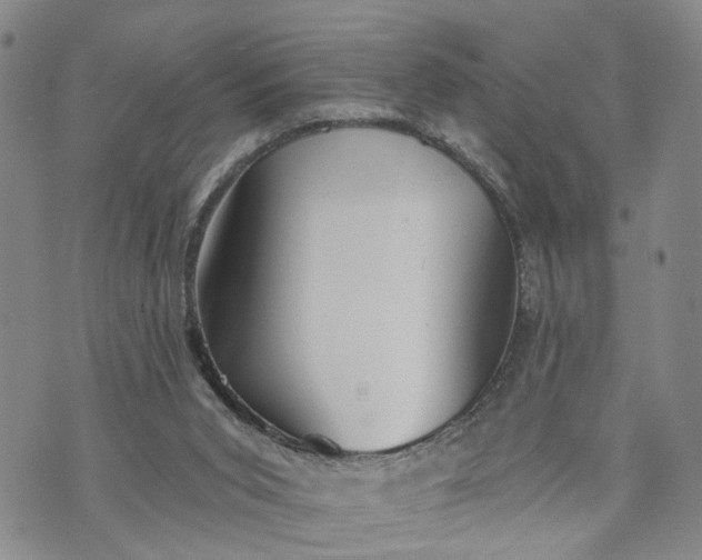 X0000072980015200608041254