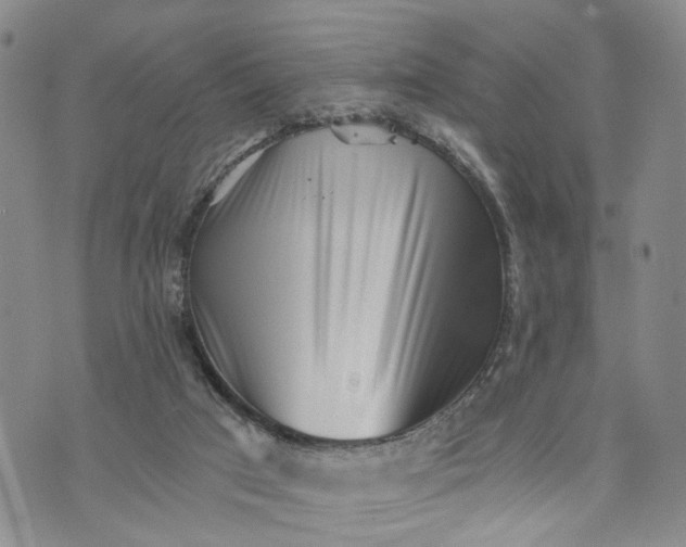 X0000072980017200608041254