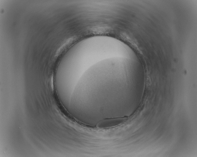 X0000072980019200608041254