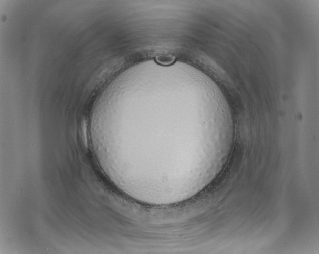 X0000072980022200608041254