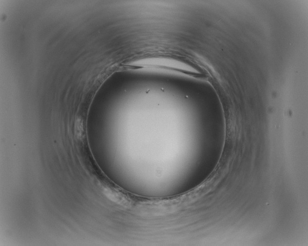 X0000072980025200608041254