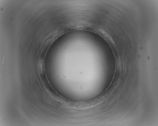 X0000072980026200608041254