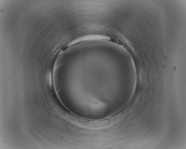 X0000072980027200608041254