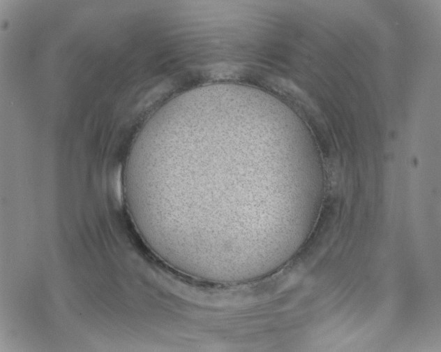 X0000072980028200608041254