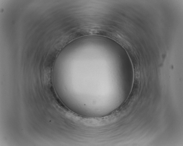 X0000072980030200608041254