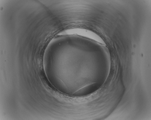 X0000072980031200608041254