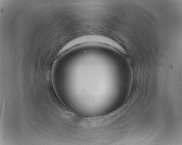 X0000072980033200608041254