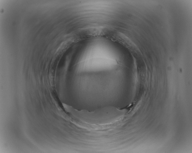 X0000072980035200608041254