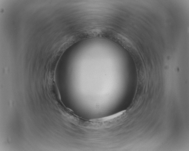 X0000072980037200608041254