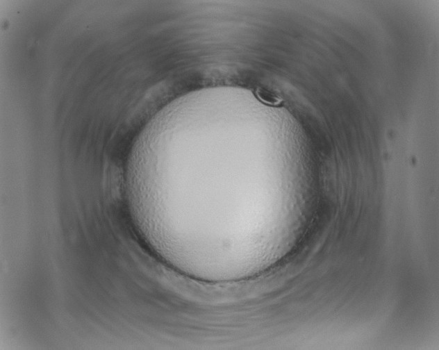 X0000072980038200608041254