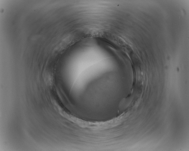 X0000072980039200608041254