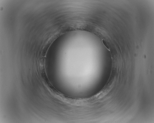 X0000072980040200608041254