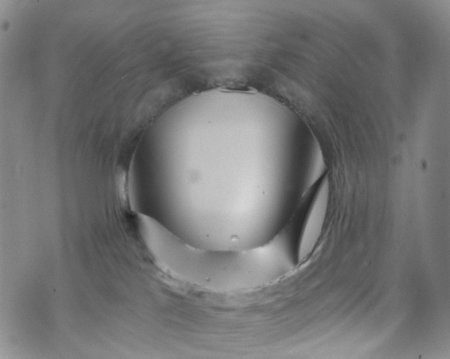 X0000072980041200608041254