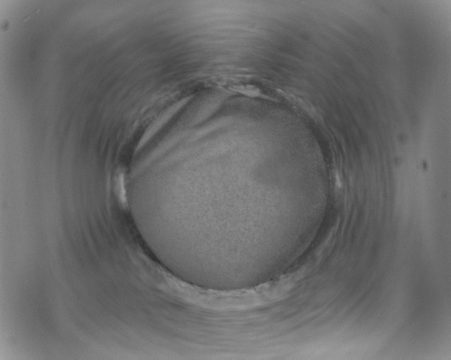 X0000072980042200608041254