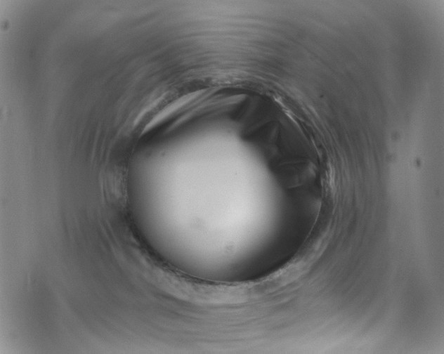 X0000072980044200608041254