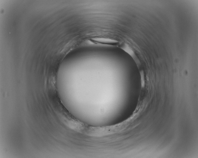 X0000072980045200608041254