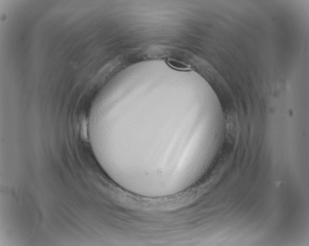 X0000072980046200608041254