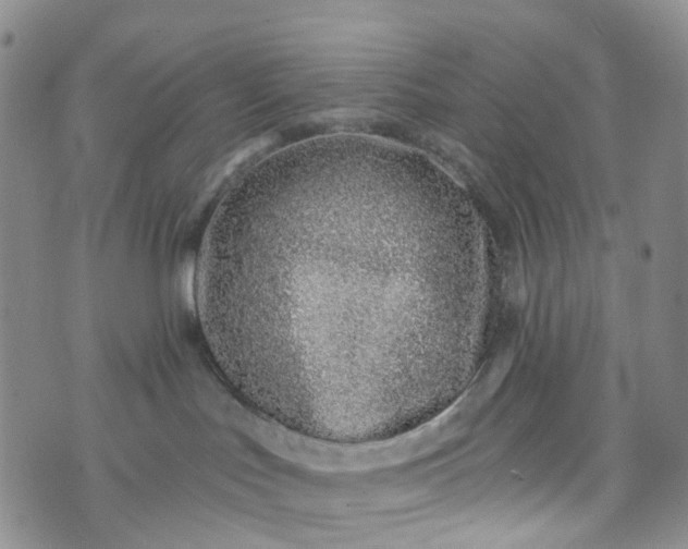 X0000072980047200608041254