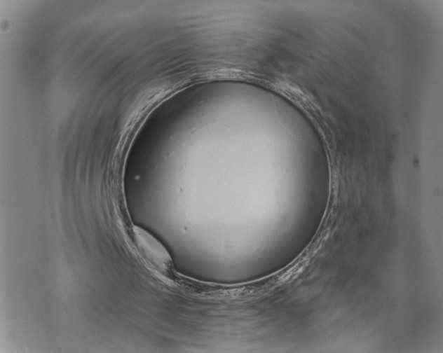 X0000072980049200608041253