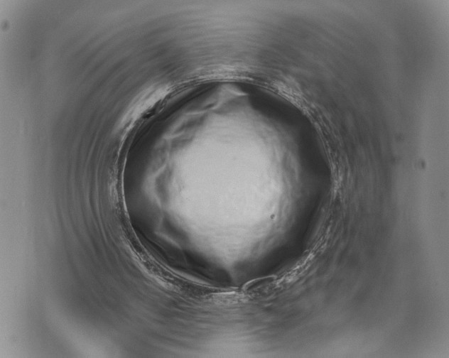 X0000072980050200608041253