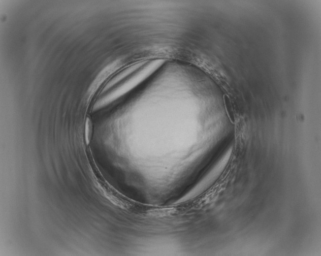 X0000072980051200608041253