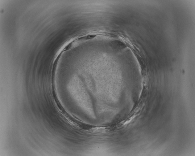 X0000072980052200608041253