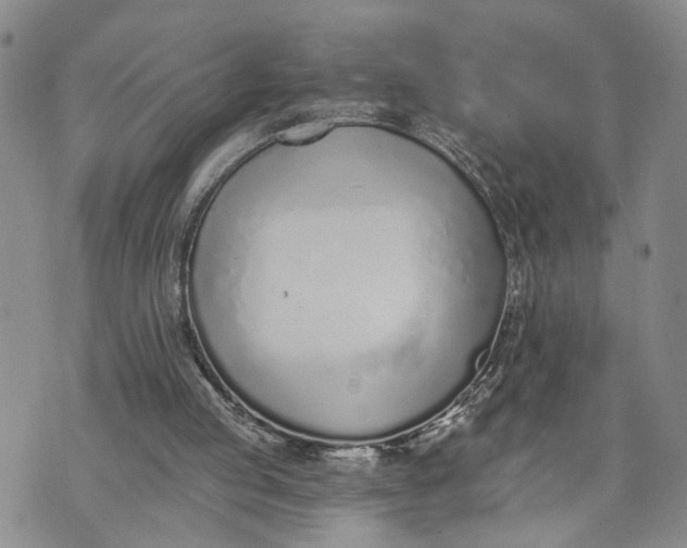 X0000072980053200608041253