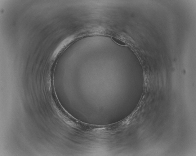 X0000072980054200608041253