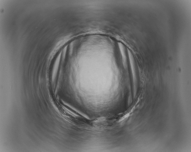 X0000072980055200608041253