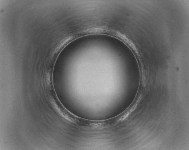 X0000072980057200608041253