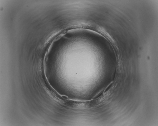 X0000072980058200608041253