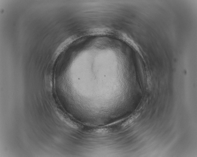 X0000072980059200608041253