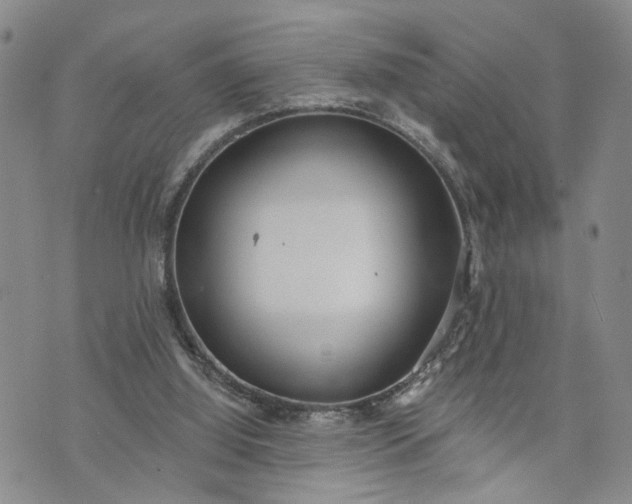 X0000072980060200608041253