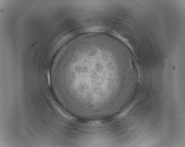 X0000072980061200608041253