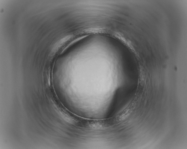 X0000072980062200608041253