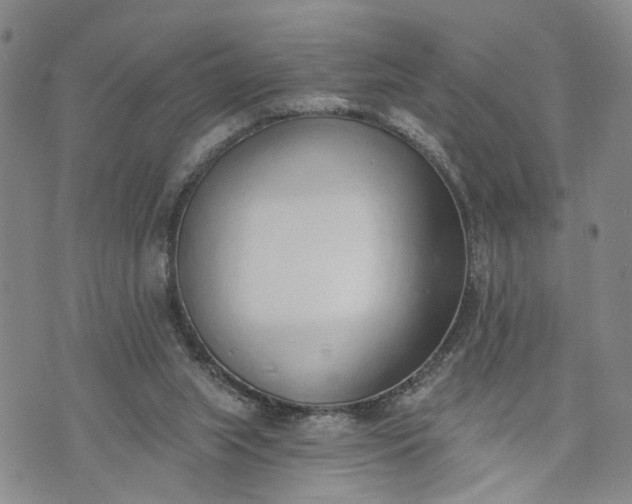 X0000072980063200608041253