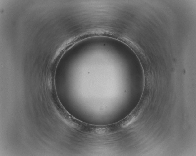 X0000072980064200608041253