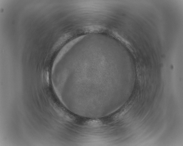 X0000072980067200608041253