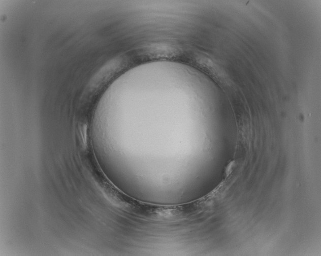 X0000072980070200608041253