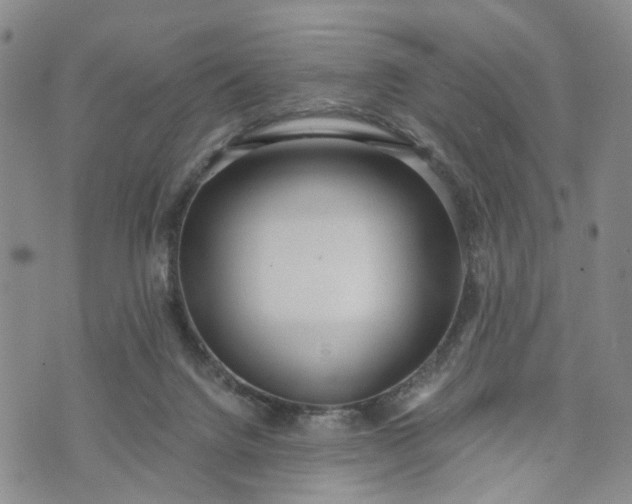 X0000072980072200608041253