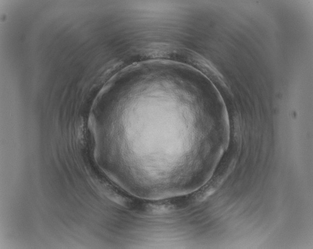 X0000072980073200608041253