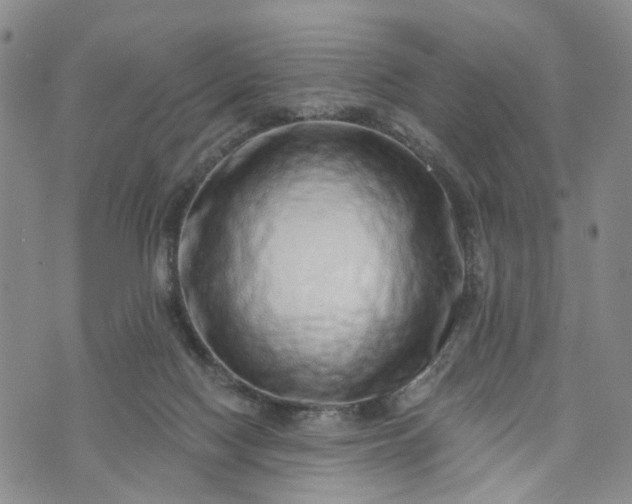 X0000072980074200608041253