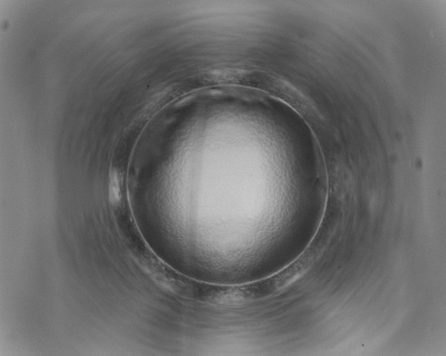 X0000072980075200608041253