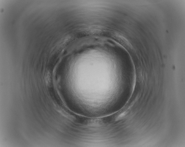 X0000072980077200608041254