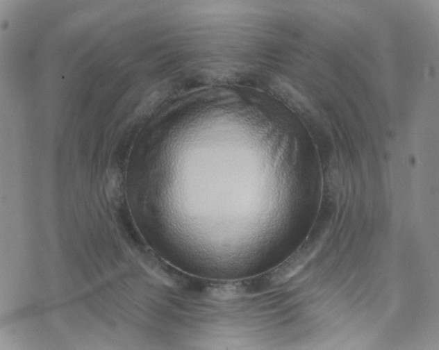 X0000072980079200608041254