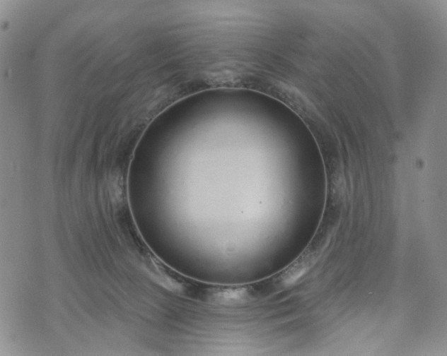 X0000072980081200608041254